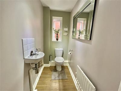 Picture 16